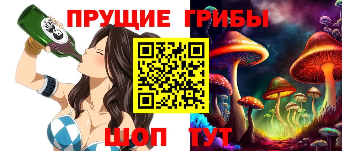 Псилоцибиновые грибы Psilocybe Астрахань