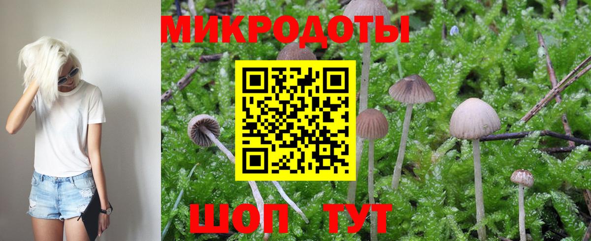 магазин продажи   Галлюциногенные грибы Magic Shrooms  Вход с VPN  Астрахань  Галлюциногенные грибы Cubensis 